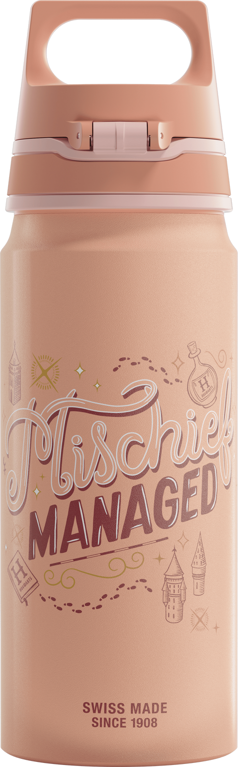 SIGG WMB ONE Hermione 0,6 L
