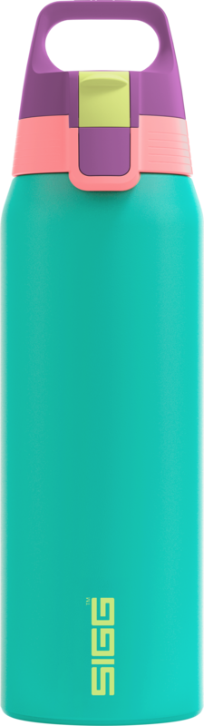 SIGG Shield Therm One teräksinen juomapullo Reef 0,75 L
