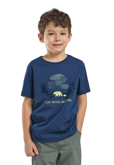 Jack Wolfskin Lasten Graphic Cotton t-paita, PRINT evening sky