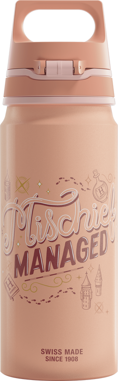 SIGG WMB ONE Hermione 0,6 L