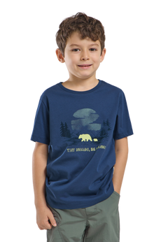 Jack Wolfskin Lasten Graphic Cotton t-paita, PRINT evening sky