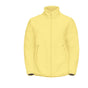 lemon ice