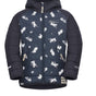 ICON midnight sky